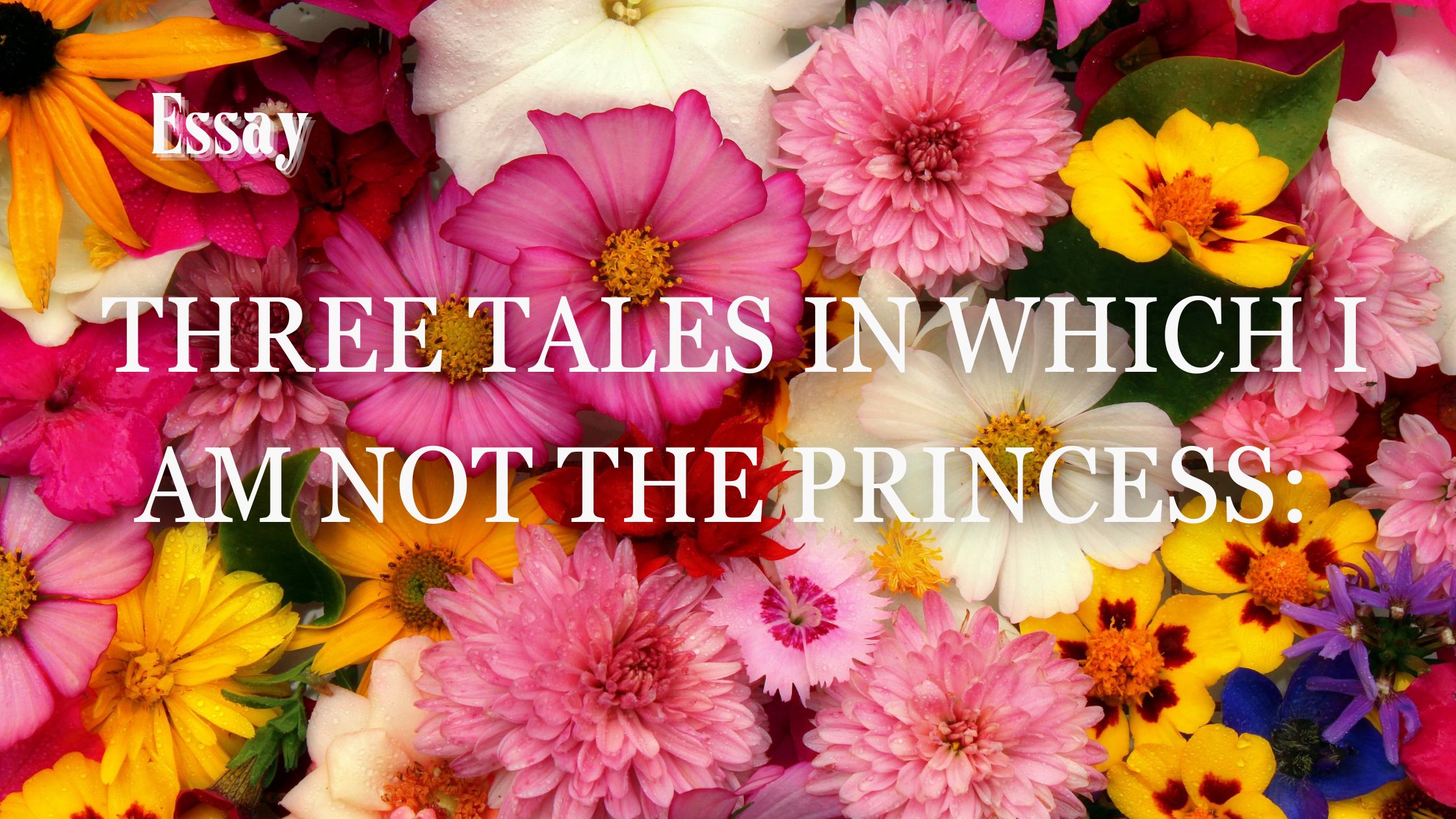 Three Tales in Which I Am Not the Princes: