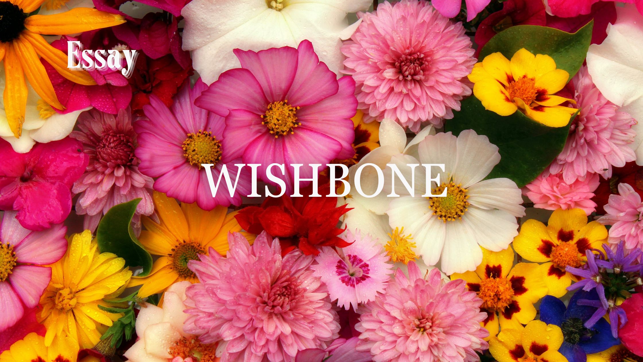 Wishbone