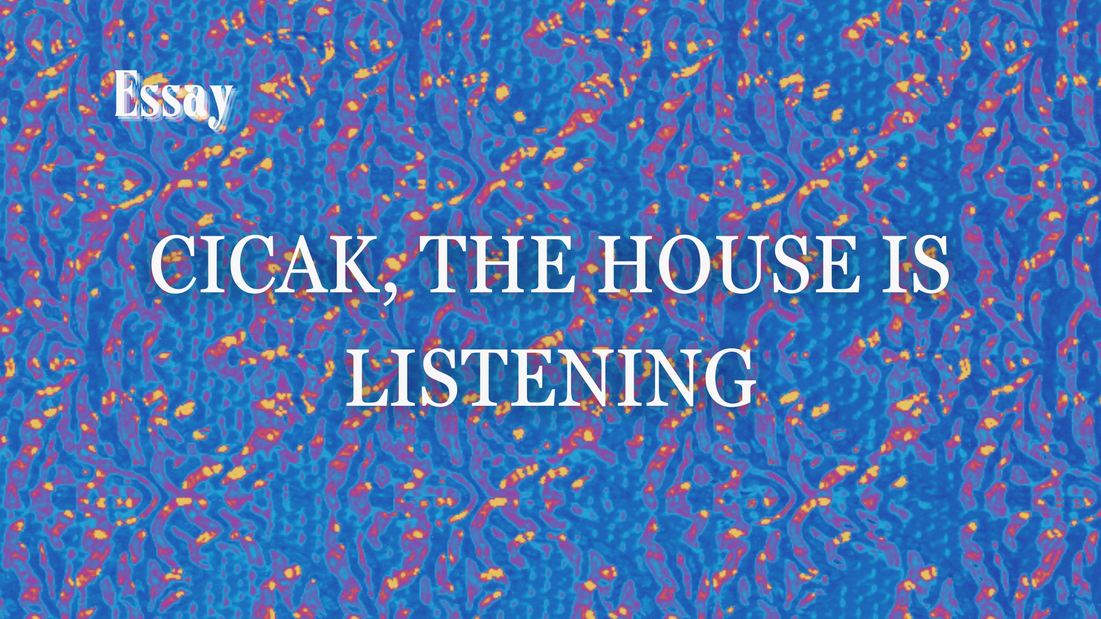 Cicak, the House is Listening