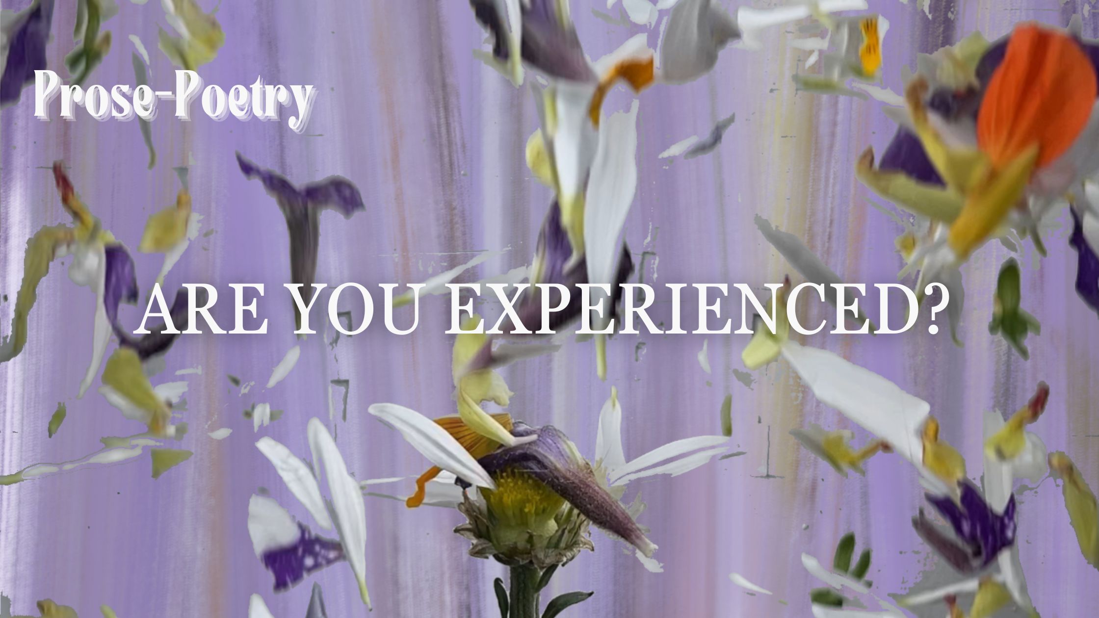 are you experienced?